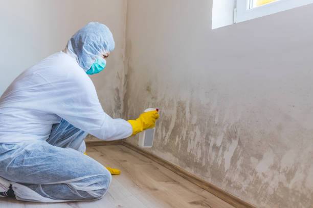 Licensed Mold Testing service in Pflugerville, TX - WQB Mold Removal